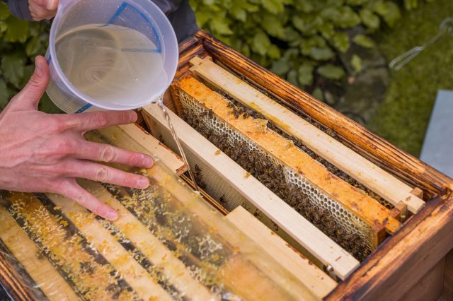 Czym powinien się charakteryzować dobrej jakości syrop pszczeli?