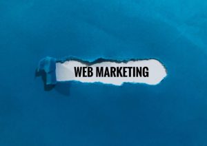 Web marketing w Gorzowie