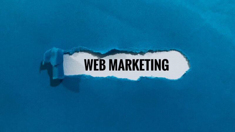 Web marketing w Gorzowie